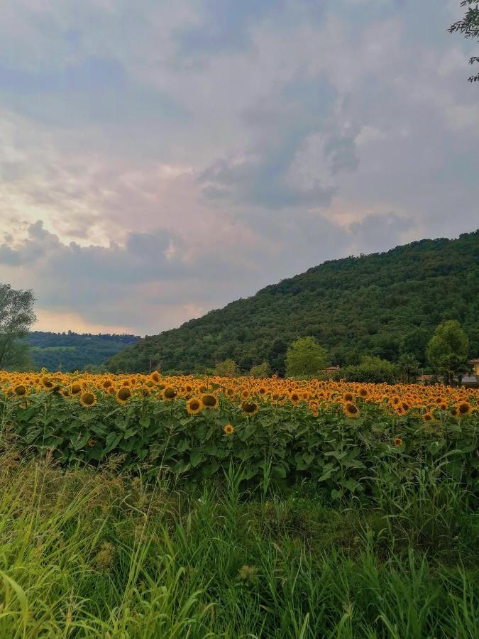 Ca' Dei Berici - Residence Ad Arcugnano Grancare Exteriör bild