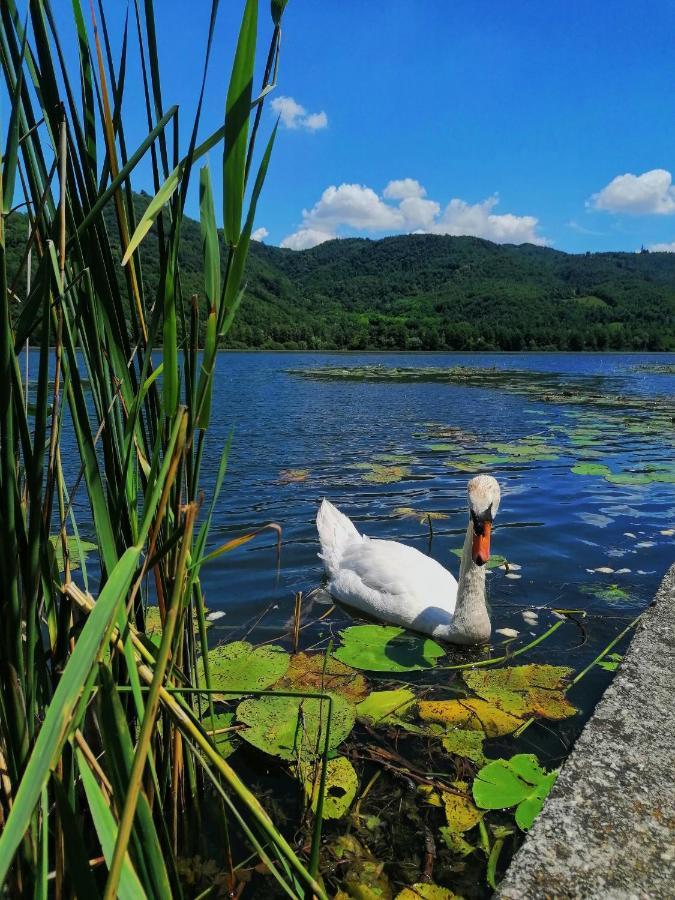 Ca' Dei Berici - Residence Ad Arcugnano Grancare Exteriör bild