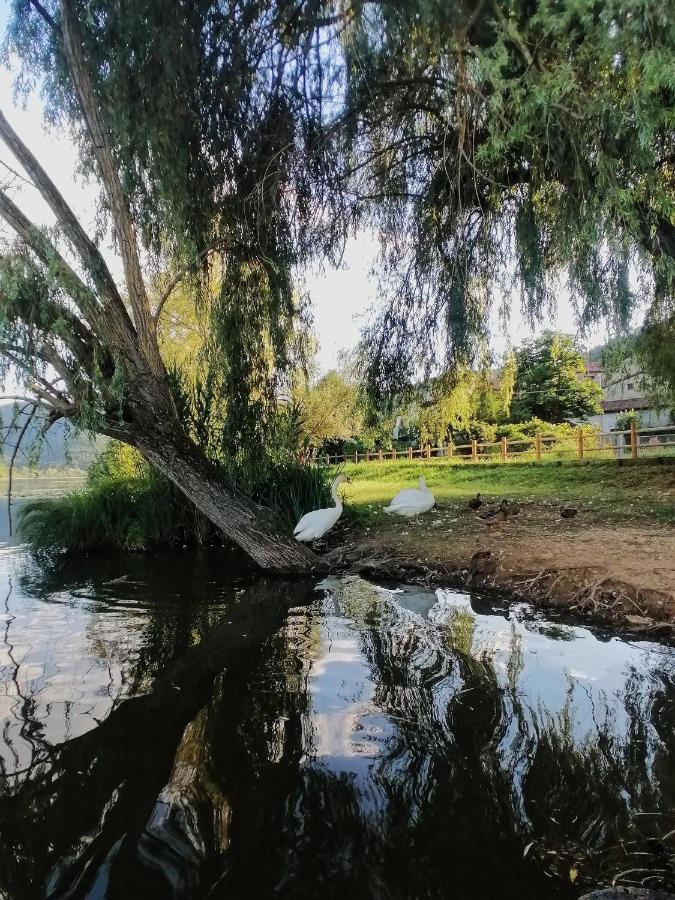 Ca' Dei Berici - Residence Ad Arcugnano Grancare Exteriör bild