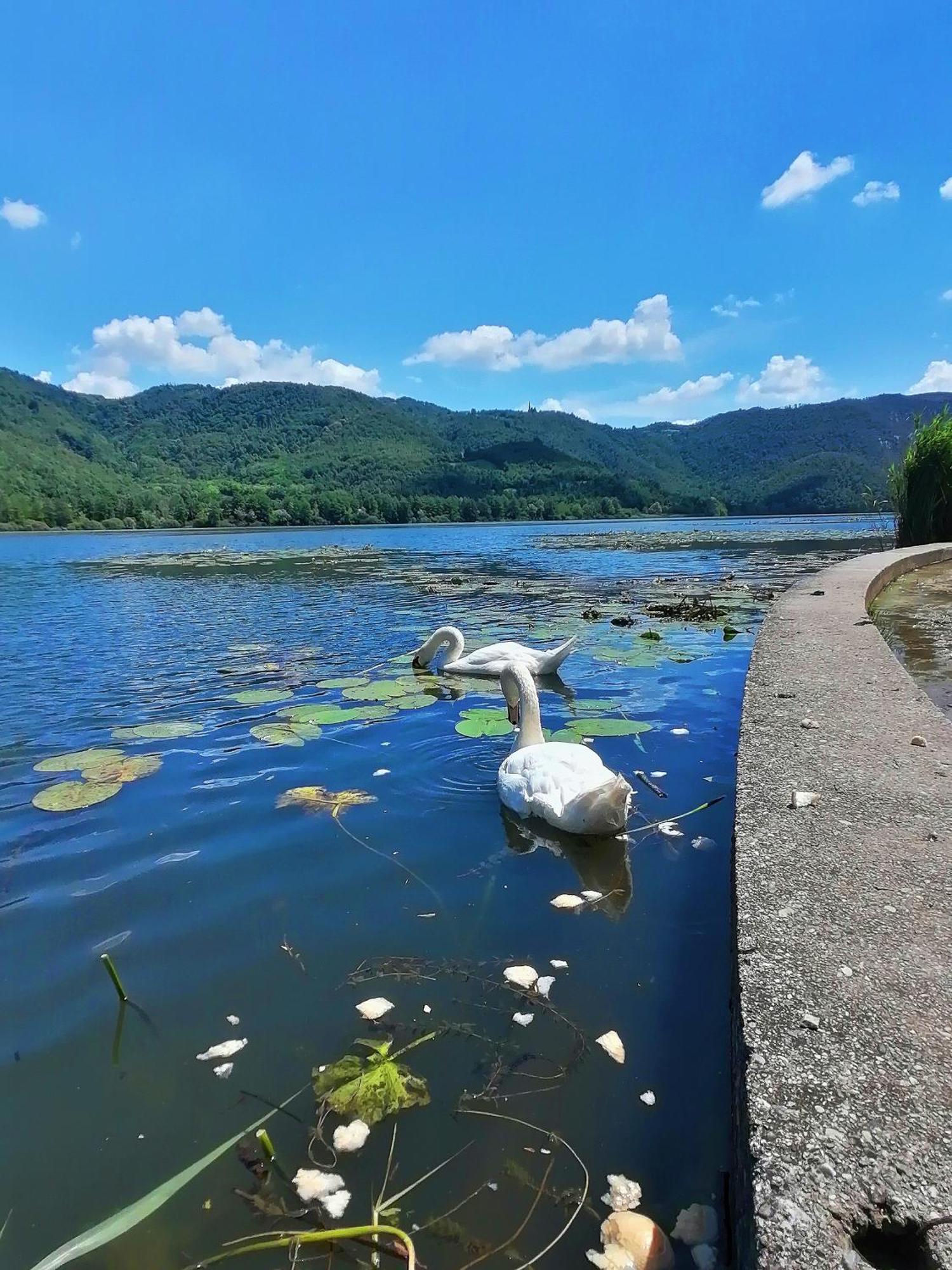 Ca' Dei Berici - Residence Ad Arcugnano Grancare Rum bild